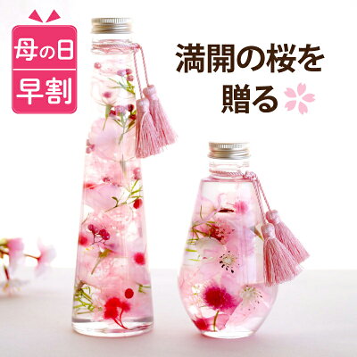 【300円OFFクーポン】 母の日 プレゼント 花 桜 早割 退職祝い 40代 50代 女性 『 さくら ハーバリウム L』 送別会 誕生日プレゼント 女友達 ギフト 20代 30代 母親 60代 おばあちゃん 還暦祝い 古希 喜寿 祝い 義母 雑貨 おしゃれ 卒業祝い 新築祝い 友人 引っ越し祝い