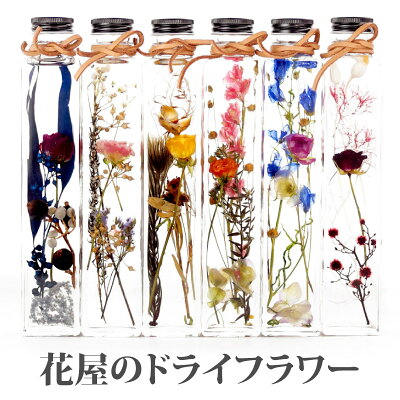 ハーバリウム 母の日 おしゃれ 『ボタニカルハーバリウム』 花 プレゼント ギフト 母 母親 女性 お誕生日 プレゼント 記念日 花ボトル フラワーボトル ボタニカル 春 標本 ハーバ お祝い 贈り物 即日発送 誕生日 ドライフラワー バラ 薔薇 父の日ギフト