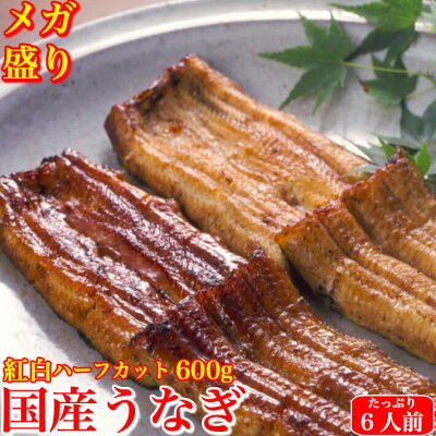 国産 特大うなぎ 太化 蒲焼き 白焼き 紅白食べ比べ メガ盛り ハーフカット600g 土用の丑 誕生日 プレゼント ギフト 贈答用 6人前 お取り寄せ お取り寄せグルメ 送料無料 あす楽対応