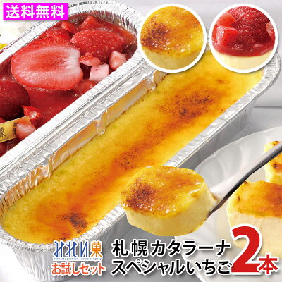 お取り寄せスイーツ 【送料無料】★カタラーナ人気セット【みれい菓】札幌カタラーナ L プレーン/スペシャルいちご 合計2本セット(580g) 【ギフト対応不可品】とろける濃厚アイスプリン 北海道産生クリーム使用 スイーツ ケーキ クレームブリュレ お菓子 洋菓子