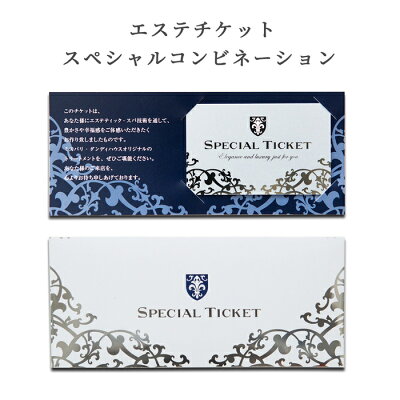 エステ 体験ギフト 【 エステチケット スペシャルコンビネーション 】| エステ券 ギフト お祝い 誕生日 プレゼント ブライダル ブライダルエステ マッサージ ストレス解消 イベント 記念日 女性 レディース 男性 メンズ