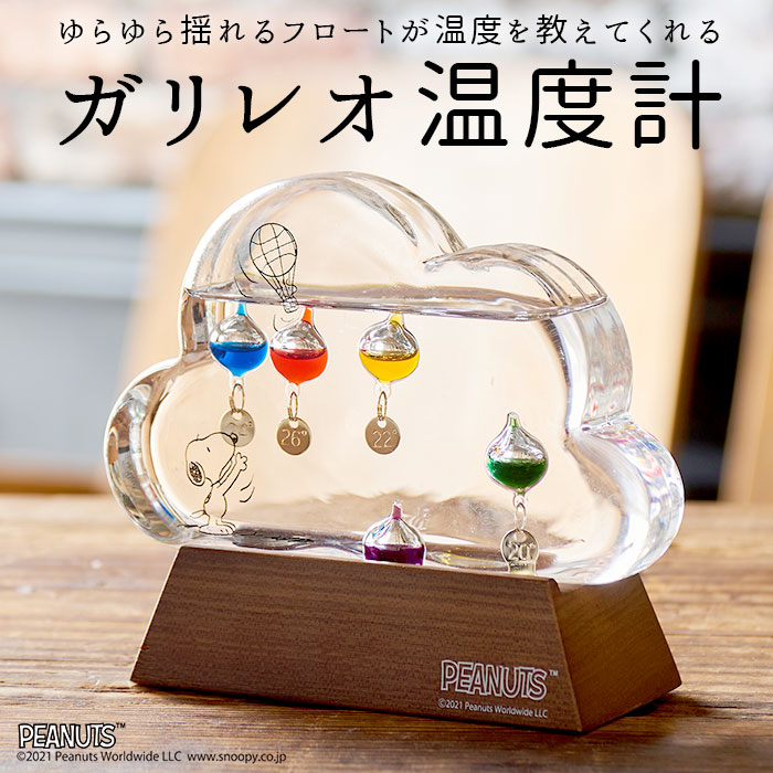 人気ブランド温度計ランキング21 レムノスやダルトンなどのおすすめプレゼントを紹介 ベストプレゼントガイド