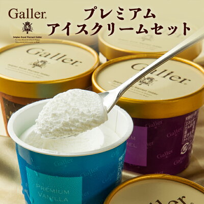 ガレー プレミアム チョコレート アイス 3種類 計12個入り EG-CL40 スイーツ プレゼント ひんやり 食品 食べ物 実用的 アイスクリーム 詰め合わせ セット ビター ほろ苦い お取り寄せ 贈答品 内祝い お返し お祝い ギフト 送料無料 お中元 御中元 2021 お中元ギフト 個包装