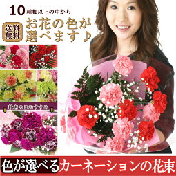 40代 彼氏への花 カーネーション 人気プレゼントランキング21 ベストプレゼント 40代 彼氏への花 カーネーション 人気プレゼントランキング21 ベストプレゼント