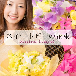 花 スイートピー 人気ブランドランキング21 ベストプレゼント 花 スイートピー 人気ブランドランキング21 ベストプレゼント