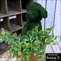 観葉植物 アニマルトピアリー 人気ブランドランキング2020 ベストプレゼント