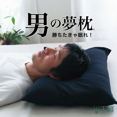 男の夢枕 (専用 枕カバー 付き) 有名寝具ブランド王様シリーズから消臭機能が付いた 男性向け 枕 【枕 男 男性 旦那 夫 王様の夢枕 彼氏 父 お父さん 父の日 誕生日 ギフト プレゼント 低め 低い 日本製 ビーズ 安眠枕 洗える 加齢臭 汗 臭い まくら】【N】
