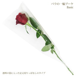 花 1本 人気ブランドランキング22 ベストプレゼント 花 1本 人気ブランドランキング22 ベストプレゼント