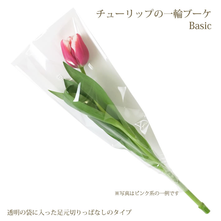 卒業のお祝いに最適な花ギフト 人気 おすすめ15選 花言葉も 22年最新 ベストプレゼントガイド