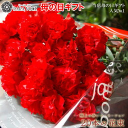 妊婦への花束 人気プレゼントランキング22 ベストプレゼント 妊婦への花束 人気プレゼントランキング22 ベストプレゼント