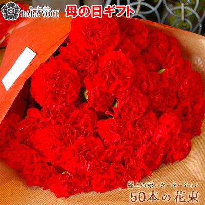 遅れてごめんね 2022 母の日 ギフト 赤いカーネーションの花束 50本の花束 【母の日プレゼント 花 ギフト 花束 赤 極上 赤いカーネーション 大輪 母の日ギフト プレゼント おしゃれ 感動の花束 母の日ギフト 生花 贈り物 送料無料】