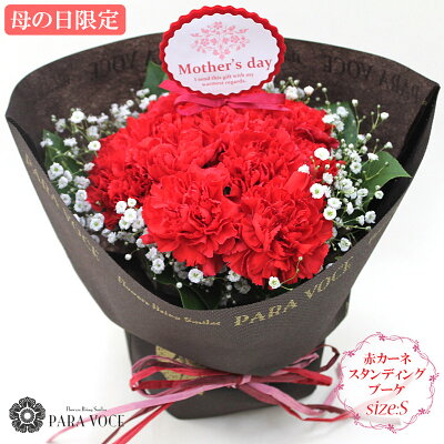遅れてごめんね 母の日 花 ギフト 母の日限定 赤いカーネーションのスタンディングブーケ Sサイズ(12本)【カーネーション 赤いカーネーションの花束 母の日 プレゼント 母の日ギフト おしゃれ 花瓶がいらない 花束 生花 送料無料】