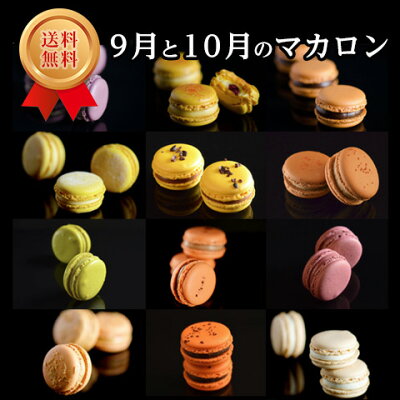 【送料無料 ギフト】9月と10月のマカロン(12種12個) 熨斗・クール便 お中元 スイーツ 洋菓子 プレゼント お誕生日祝 御祝 御礼 お誕生日祝 送別 内祝 お返し ※北海道・九州は300円加算(沖縄・離島は発送できません)