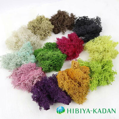 モス 1個(約10g入) 全13色 / 日比谷花壇 in Fiore ノースランドモス ブリザーブド ハンドメイド デコレーション 封入 藻 苔 コケ 水草 カラーモス ハーバリウム ナチュラル グリーン ホワイト ブルー グレー ピンク パープル オレンジ ブラウン【ゆうパケット対応】