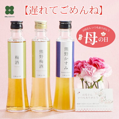 母の日 遅れてごめんね 梅酒【紀州の梅酒 3種3本 飲み比べ 200ml×3本セット】 飲み比べセット 母の日ギフト おしゃれ お酒 2021 贈り物 花以外 ギフト プレゼント 梅酒専門店プラム