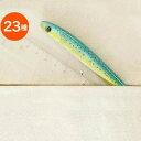 【ネコポスOK】【あす楽14時まで】 FISH PEN フィッシュペン [ ボールペン ] F