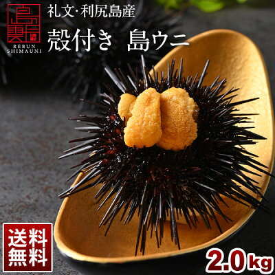 【ご予約受付中】殻付きウニ 礼文・利尻島産「殻付き 島ウニ キタムラサキウニ」2.0kg(13〜20個)【送料無料】北海道 お取り寄せ グルメ ギフト 食べ物 食品 生うに 雲丹 高級
