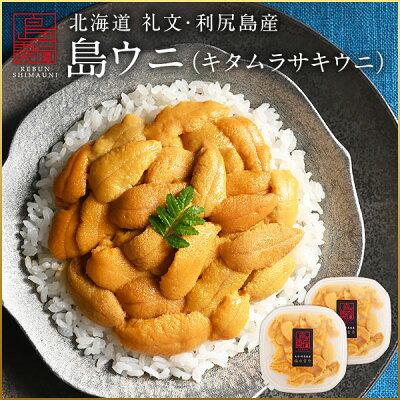 【水揚げ次第お届け】うに ウニ 生キタムラサキウニ 180g(90g×2)日本最北の島 北海道 礼文・利尻島産【送料無料】雲丹 無添加 塩水パック 塩水ウニ ギフト グルメ 食品 贈り物 ミョウバン未使用 生うに