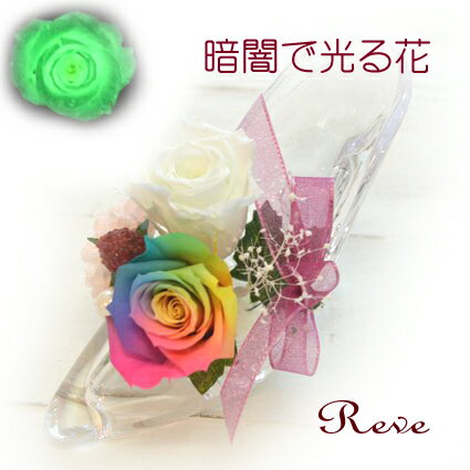 レインボーローズ 人気ブランドランキング21 ベストプレゼント