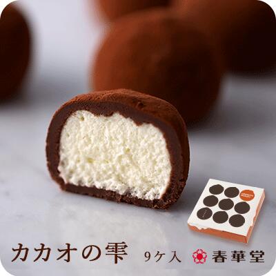 【春華堂公式】当店リピート率NO.1 カカオの雫9ヶ入|バレンタイン ホワイトデー プチギフトお菓子 洋菓子 スイーツ チョコレート チョコ チョコレート菓子 生クリーム ガナッシュ トリュフ 土産 お土産 手土産 ギフト 贈り物 冷凍便 人気