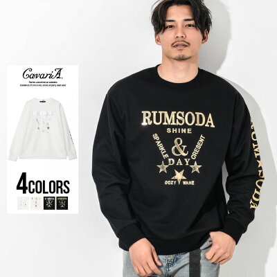 トレーナー メンズ 長袖 "CavariA【キャバリア】ダブルフェイス3Dメタリッククルーネックトレーナー/全4色"【あす楽対応】【トップス スウェット スエット 3D 立体 ロゴ プリント ホワイト ブラック 白 黒 M L カジュアル ストリート BITTER系 ビター系 冬 春 2020】【DTK】