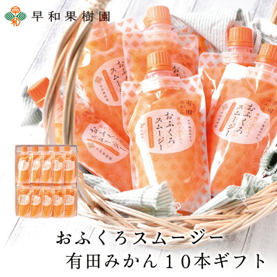 ギフト スムージー パウチ おふくろスムージー有田みかん10本ギフト 送料無料 みかんスムージー 飲むゼリー シャーベット 和歌山 有田 温州みかん 内祝い 御祝
