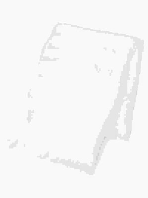 【SALE/55%OFF】UNTITLED mariani 大判フリンジストール アンタイトル ファッショングッズ ストール ホワイト グレー グリーン【送料無料】