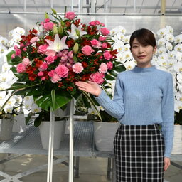 フラワーアレンジメント 新築祝い 新居祝いプレゼント 人気ランキング21 ベストプレゼント フラワーアレンジメント 新築祝い 新居祝いプレゼント 人気ランキング21 ベストプレゼント
