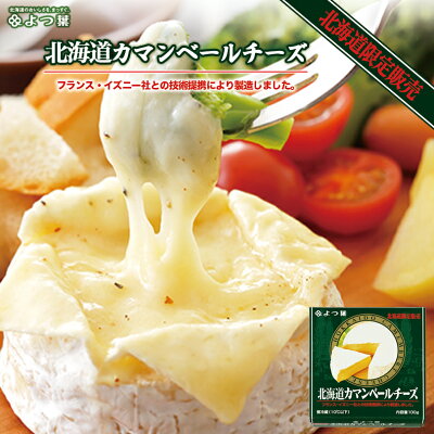 よつ葉 北海道カマンベールチーズ【100g×2個セット】北海道 お土産 生乳 チーズフォンデュ ラタトゥイユ ギフト プレゼント お取り寄せ 送料無料