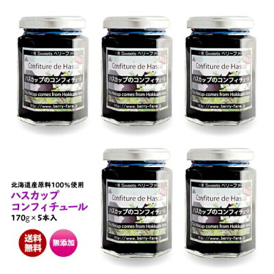 ハスカップジャム170g×5本(ギフト対応不可品) 添加物不使用 無添加 北海道 詰替え 甜菜糖ヨーグルト パンケーキ グラノーラ パン アイス デザート チーズ トッピング