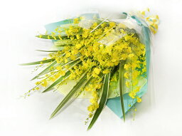 蘭（ラン） オンシジューム M 8本以上 華やかな黄色い蘭 オンシジウム 花束 生花 イエロー 送料無料 最短3日以内に出荷 サイズ 高さ 50cm 幅 40cm 誕生日 ブーケ プレゼント 結婚祝 長寿 お祝い