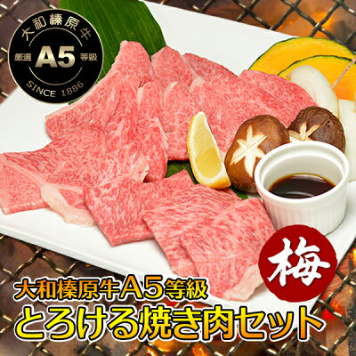 とろける 焼肉セット 梅コース 250g (カルビ150g+バラ100g / 約2人前) 送料無料 牛肉 焼肉用 黒毛和牛 焼肉 A5 焼き肉 ヤキニク BBQ カルビ かるび RCP あす楽対応