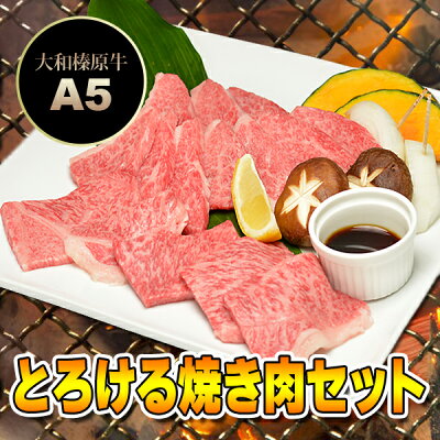 とろける 焼肉セット 梅コース 250g (カルビ150g+バラ100g / 約2人前) 送料無料牛肉 黒毛和牛 A5 焼肉 焼き肉 ヤキニク BBQ カルビ かるび RCP あす楽対応