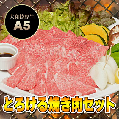 とろける 焼肉セット 竹コース+追加オプション 900g (カルビ200g+極上バラ200g+豚トロ250g+桜島鶏モモ肉250g / 4〜5人前) 送料無料牛肉 黒毛和牛 A5 焼肉 焼き肉 ヤキニク BBQ カルビ かるび RCP あす楽対応
