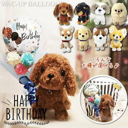 コンプリート ミニチュアダックス 可愛い 2168 ミニチュアダックス 可愛い服 コンプリート ミニチュアダックス 可愛い 2168 ミニチュアダックス 可愛い服